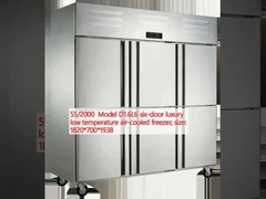 55/2000  Model D1.6L6 six-door luxury low temperature air-cooled freezer, size: 1820*700*1938