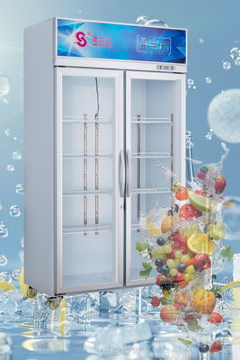 Guter Preis Energieeinsparende Kühlschrank für gewerbliche Anzeigen 584L Doppeltür-Anzeigenkühlschrank Online