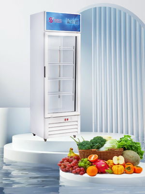 Buen precio Refrigerador de 380L para exhibición comercial fresco mantenimiento de refrigeración directa Refrigerador de exhibición de puerta única en línea