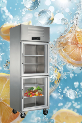 Good price Restaurant Commercial Display Refrigerator 600L Double Door Display Freezer online