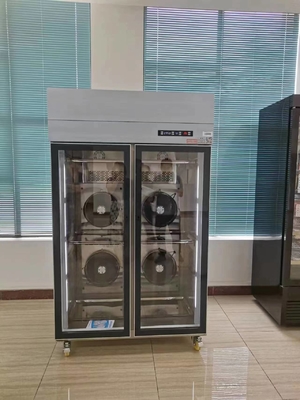 Bom preço LPG-20H Drying Cabinet Air-cooling 4 Intelligent Modes Double Door 1200*830*2030mm on-line