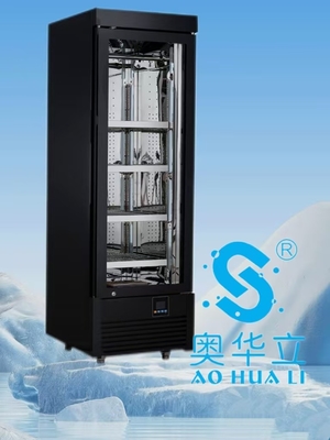 Good price PSG-10SZ/PSG-10XZ  Air-cooled Single Door Beef Aging Cabinet For Home online