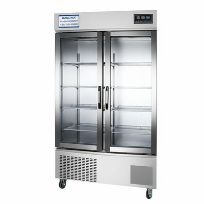 Good price Rapid Refrigeration NRLDG-20SZ / NRLDG-20XZ Air-Cooled Double Door Beef Freezing Cabinet -12℃～-18℃ Size 1200*700*2100MM online